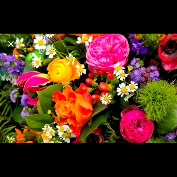 Meet your Posher, Ri - Picture 1 of 1